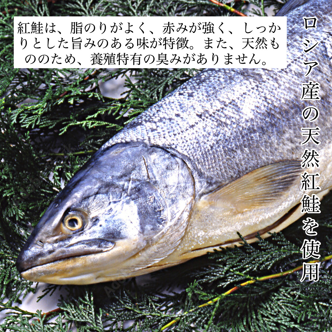天然紅鮭の切り身(甘塩)　10切 020024