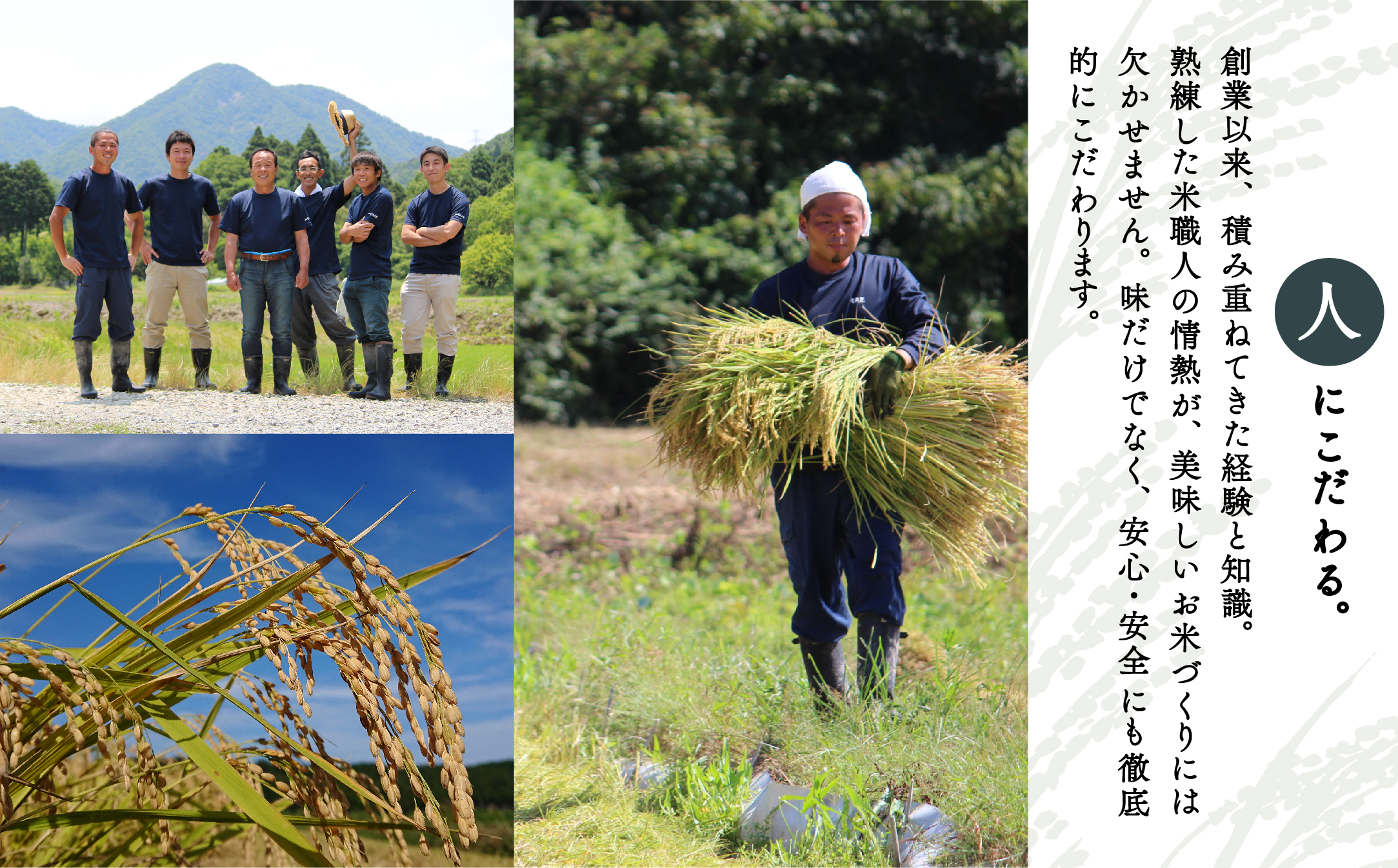 【定期便】山里清流米こしひかり玄米 5kg×12回（毎月）  120015