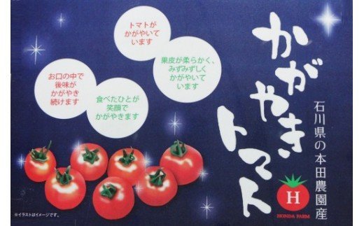 014002. 【人気のスイーツトマト】本田農園のかがやきトマト2箱（約70個）