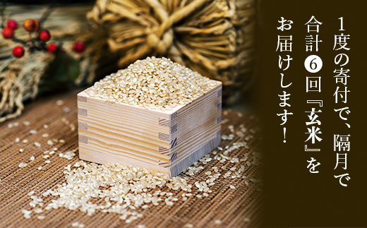 【定期便】山里清流米こしひかり玄米 5kg×6回（隔月） 060014