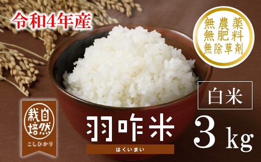 令和4年新米石川県産 コシヒカリ無農薬有機栽培のお米 コシヒカリ 玄米