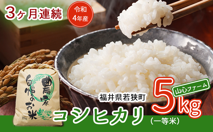 【3ヶ月連続】令和5年産福井県若狭町コシヒカリ（一等米）5kg（山心ファーム）