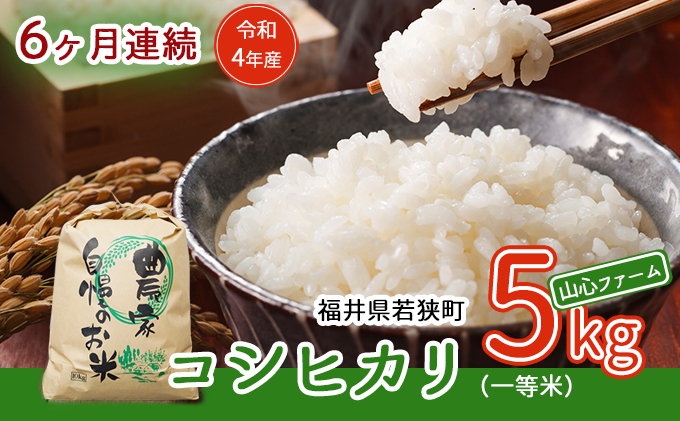 【6ヶ月連続】令和5年産福井県若狭町コシヒカリ（一等米）5kg（山心ファーム）