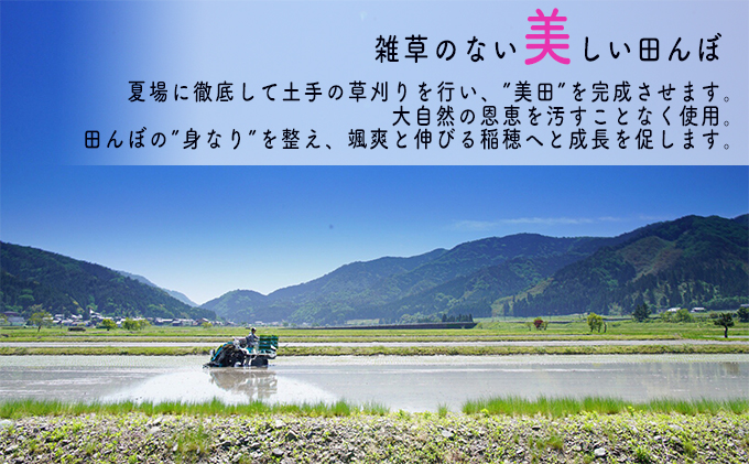 【6ヶ月連続】令和5年産福井県若狭町コシヒカリ（一等米）5kg（山心ファーム）