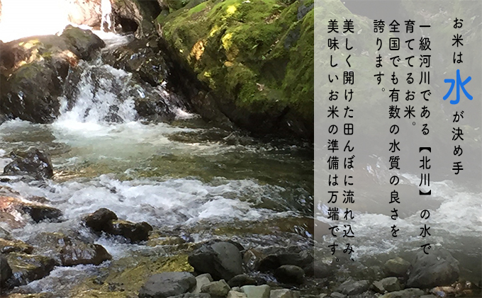 【3ヶ月連続】令和5年産福井県若狭町コシヒカリ（一等米）10kg（山心ファーム）