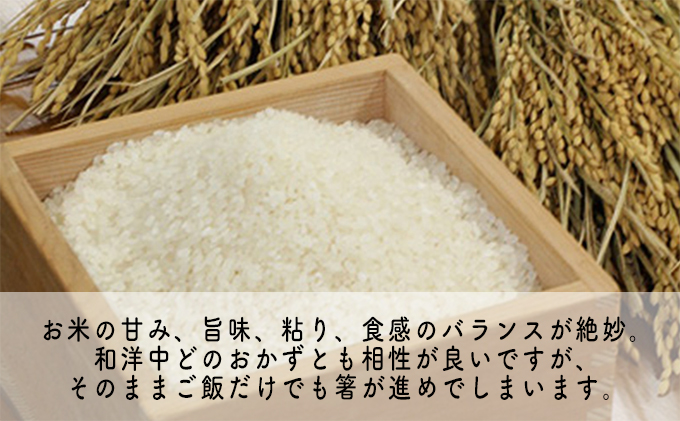 【3ヶ月連続】令和5年産福井県若狭町コシヒカリ（一等米）5kg（山心ファーム）