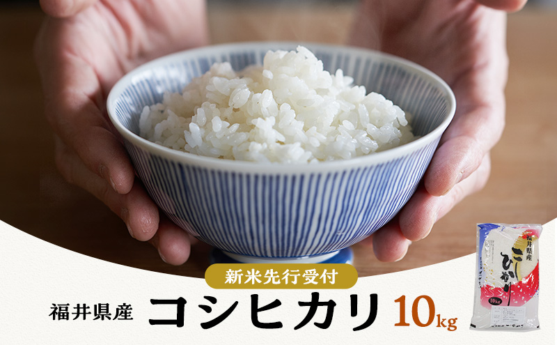 米 令和6年 コシヒカリ 10kg 一等米 お米 おこめ こめ コメ 白米 精米 新米 ご飯 ごはん 三宅カントリーファーム 福井県 福井