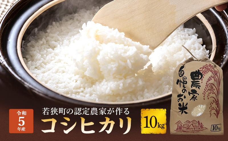 米 令和5年 先行予約 コシヒカリ 10kg 一等米 お米 おこめ こめ コメ