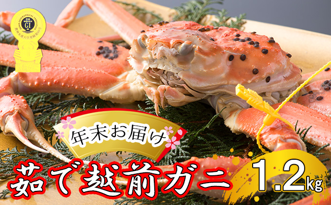 茹で 越前ガニ 約1.2kg以上 1杯 年末配送 食通もうなる本場の味をぜひ、ご堪能ください 越前かに 蟹 カニ かに ボイルカニ ボイル蟹 ポーション ズワイガニ ずわい蟹 海鮮 福井 福井県 若狭町