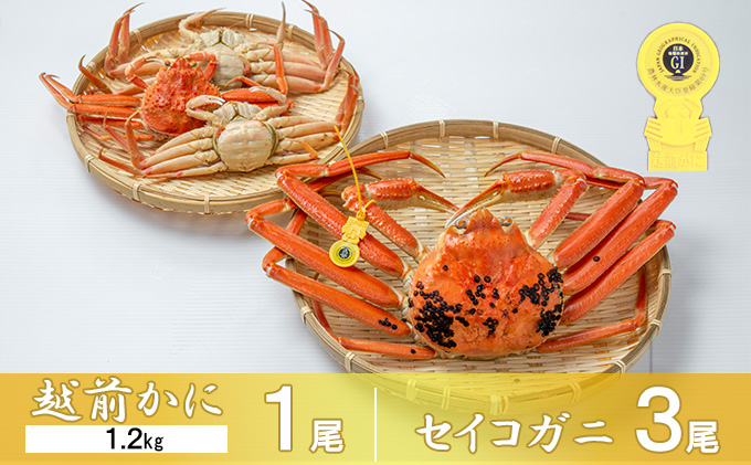 茹で越前ガニ【期間限定】食通もうなる本場の味をぜひ、ご堪能ください。セイコガニセット 約1.2kg＋セイコガニ3杯 越前がに 越前かに 越前カニ カニ ボイルガニ