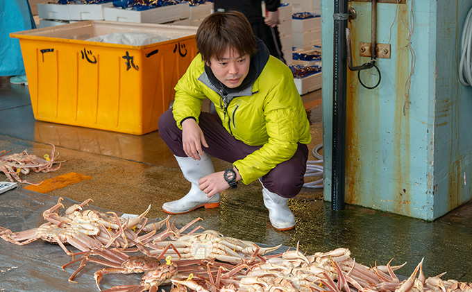 【年内届け】茹で越前ガニ【期間限定】食通もうなる本場の味をぜひ、ご堪能ください。約900g 2尾セット 越前がに 越前かに 越前カニ カニ ボイルガニ