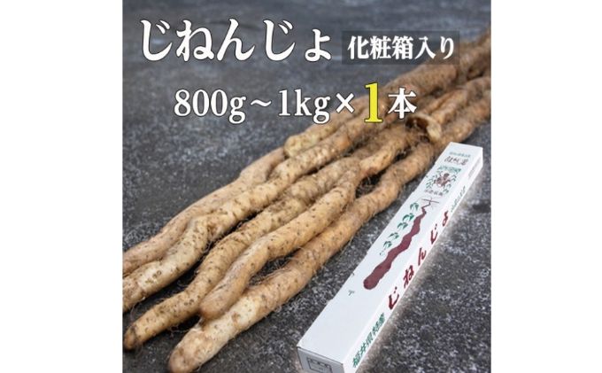 自然薯 800g～1kg×1本 化粧箱入 - ふるさとパレット ～東急グループの