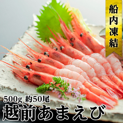 日本海 甘えび 子なし 500g 約50尾 越前甘えび 甘海老 あまえび えび エビ 海老 魚介 魚介類 海鮮 冷凍 福井 福井県 若狭町