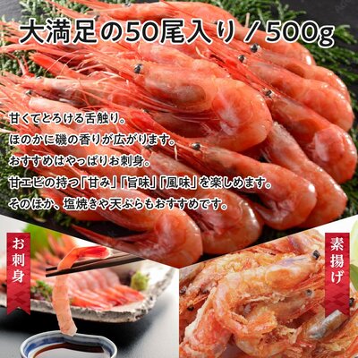 日本海 甘えび 子なし 500g 約50尾 越前甘えび 甘海老 あまえび えび エビ 海老 魚介 魚介類 海鮮 冷凍 福井 福井県 若狭町