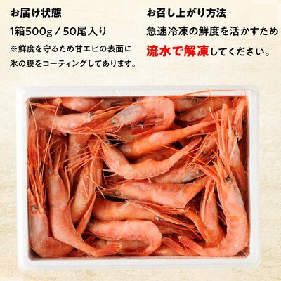 日本海 甘えび 子なし 500g 約50尾 越前甘えび 甘海老 あまえび えび エビ 海老 魚介 魚介類 海鮮 冷凍 福井 福井県 若狭町