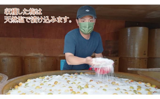 昔ながらの梅干し 一級品（福井県若狭町）伝統製法にこだわり仕上げた無添加・無着色の梅干し／ケース入り1.5kg