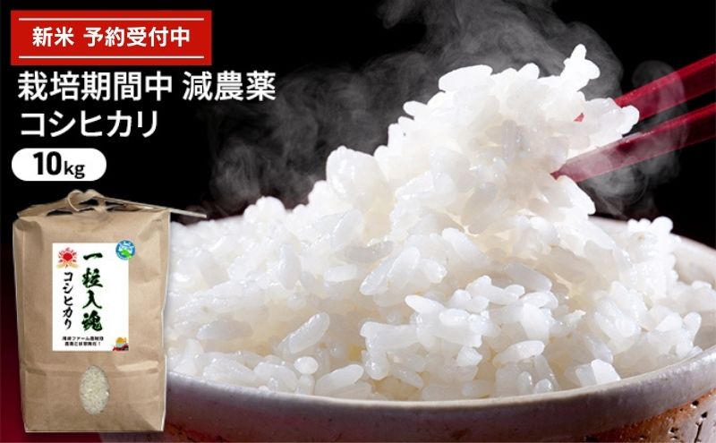 令和6年産 栽培期間中減農薬 コシヒカリ 10kg