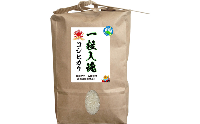 栽培期間中 減農薬コシヒカリ 白米10kg 3ヶ月定期お届け