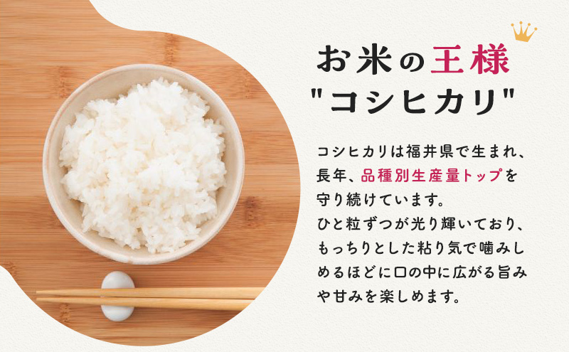 【令和5年福井県若狭町産】コシヒカリ（1等米）精米10kg