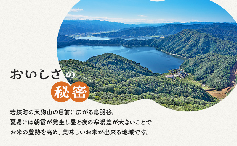 令和5年福井県若狭町産】コシヒカリ（1等米）精米10kg - ふるさと