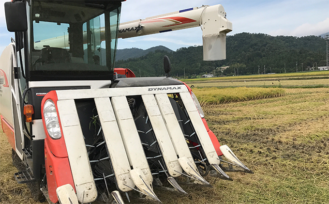 6ケ月連続 福井県若狭町コシヒカリ（一等米）5kg（神谷農園）