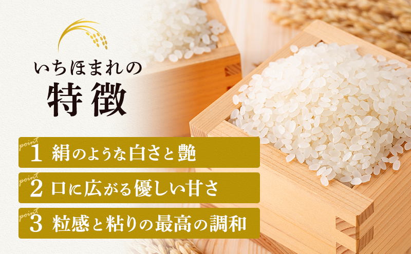 無洗米 令和6年産 いちほまれ 10kg 福井 高級ブランド米 お米 おこめ 米 コメ こめ 白米 精米 ご飯 ごはん 福井県