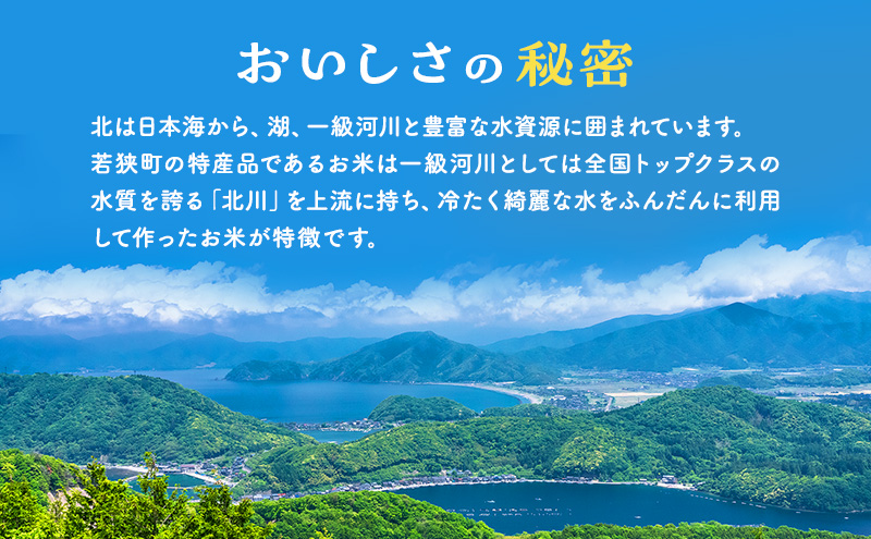 米 定期便 3ヶ月 コシヒカリ 5kg 有機JAS認証 高島屋選定品 こしひかり お米 おこめ こめ コメ 白米 精米 ご飯 ごはん 福井県 福井 3回 お楽しみ