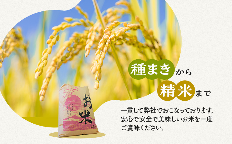 令和5年福井県若狭町産】コシヒカリ（1等米）精米10kg - ふるさと