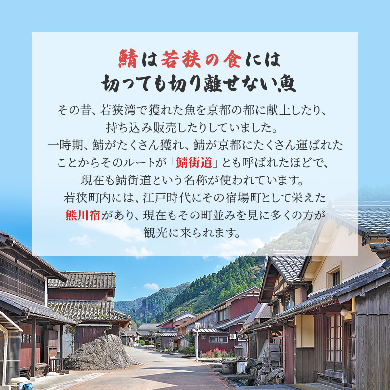 サバ缶 水煮 12缶 セット 詰め合わせ 若狭の鯖缶 鯖缶 さば缶 さば サバ 鯖 缶詰 缶詰め 魚 魚介 魚介類 海鮮 水煮缶 福井 福井県 若狭町