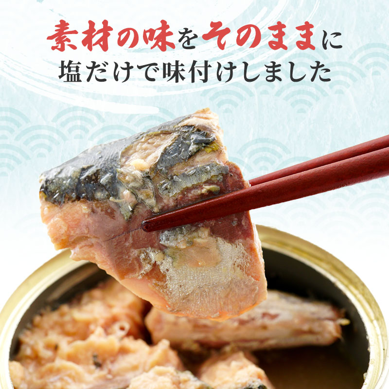 サバ缶 水煮 45缶 セット 詰め合わせ 若狭の鯖缶 鯖缶 さば缶 さば サバ 鯖 缶詰 缶詰め 魚 魚介 魚介類 海鮮 水煮缶 福井 福井県 若狭町