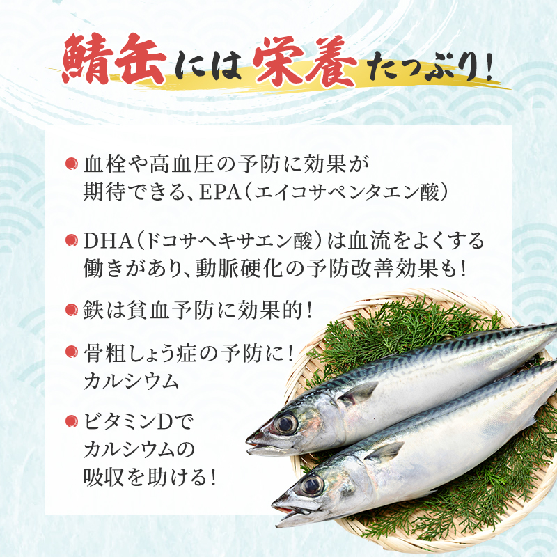 サバ缶 食べ比べセット 45缶 セット 詰め合わせ 若狭の鯖缶 5種 味噌煮 しょうゆ 生姜入り 唐辛子入り 水煮 鯖缶 さば缶 さば サバ 鯖 缶詰 缶詰め 魚 魚介 魚介類 海鮮 水煮缶 食べ比べ 福井 福井県 若狭町