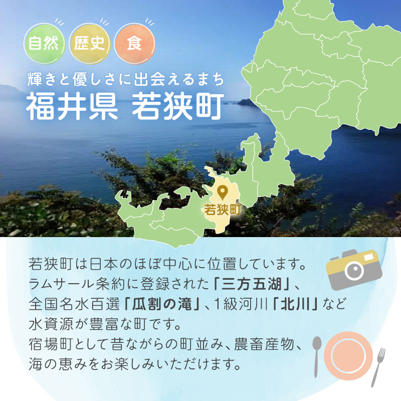 旅行 福井県 若狭町 プレミアム 宿泊 利用券 15,000円分 1枚 宿泊補助券 ホテル 旅館 民宿 温泉 温泉宿 温泉宿泊券 1泊2食 旅行券 宿泊券 トラベル 旅行クーポン ホテル券 ギフト券 チケット 旅 福井 若狭