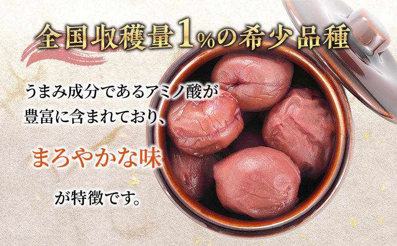 梅干し 400g すっぱい梅干し 壺型容器入り 昔ながら 梅干 紅さし梅 紅映梅 梅 うめ ウメ 福井県 福井