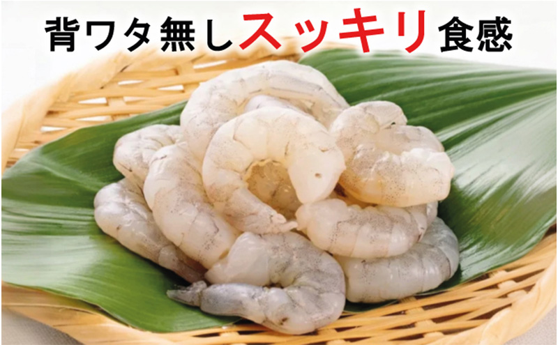 越前若狭食宝庫の高級むきえび【ホワイトバナメイエビ冷凍】800g /約90～100尾x3