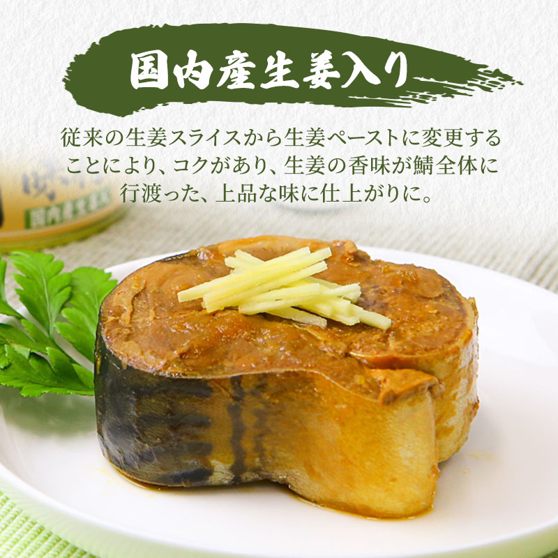 サバ缶 食べ比べセット 12缶 セット 詰め合わせ 若狭の鯖缶 3種 しょうゆ 生姜入り 唐辛子入り 鯖缶 さば缶 さば サバ 鯖 缶詰 缶詰め 魚 魚介 魚介類 海鮮 食べ比べ 福井 福井県 若狭町