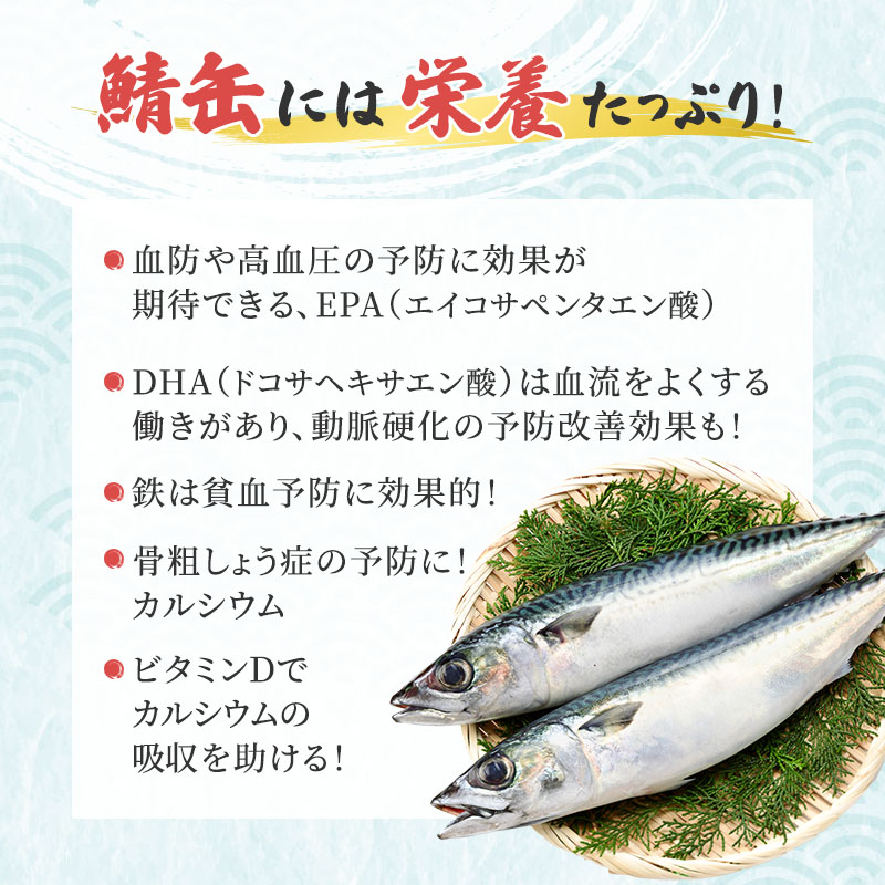 サバ缶 水煮 24缶 セット 詰め合わせ 若狭の鯖缶 鯖缶 さば缶 さば サバ 鯖 缶詰 缶詰め 魚 魚介 魚介類 海鮮 水煮缶 福井 福井県 若狭町