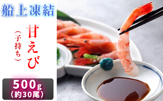 甘えび 500g 約30尾 日本海甘えび 子持ち海老 冷凍えび 冷凍エビ 冷凍 海老 えび エビ 甘海老 甘エビ 海鮮 ギフト贈り物 プレゼント 福井 福井県 若狭町