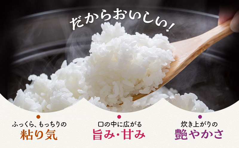 米 令和6年 コシヒカリ 10kg 一等米 お米 おこめ こめ コメ 白米 精米 新米 ご飯 ごはん 三宅カントリーファーム 福井県 福井