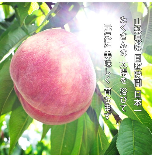 【2022年 先行予約】日本一の産地山梨県産　朝採れ桃２kg(５〜８玉）　数量限定