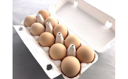 ぶどうのもろみを与えて産んだ卵「葡萄の恵」1パック10個入り×12パックセット