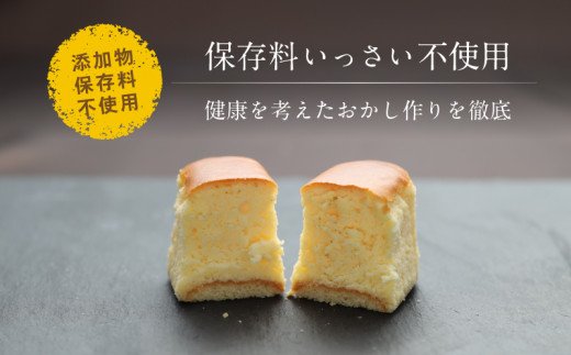 【ギフト用】半熟チーズケーキ2箱（各12個入り）