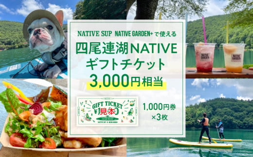 四尾連湖 NATIVEギフトチケット3,000円券　native surf[5839-2051]