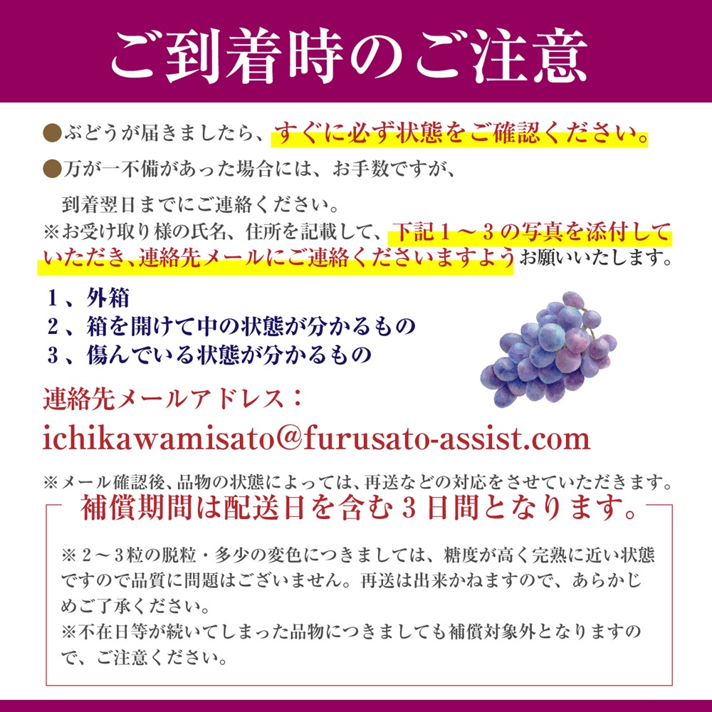 【2024年８月中旬から発送】朝採り！タネなし巨峰　2キロ箱　小沢農園[5839-1500]