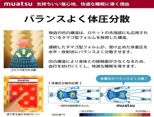 【昭和西川】ムアツふとん　スリープスパ　BAＳIＣ　シングルサイズ [5839-1153]