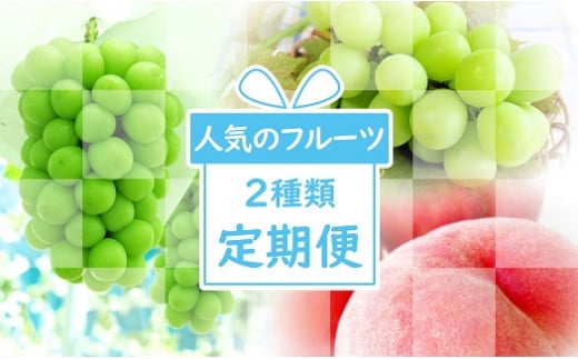 2025年発送【ご家族で】市川三郷町フルーツ定期便（計2回）[5839-1953]