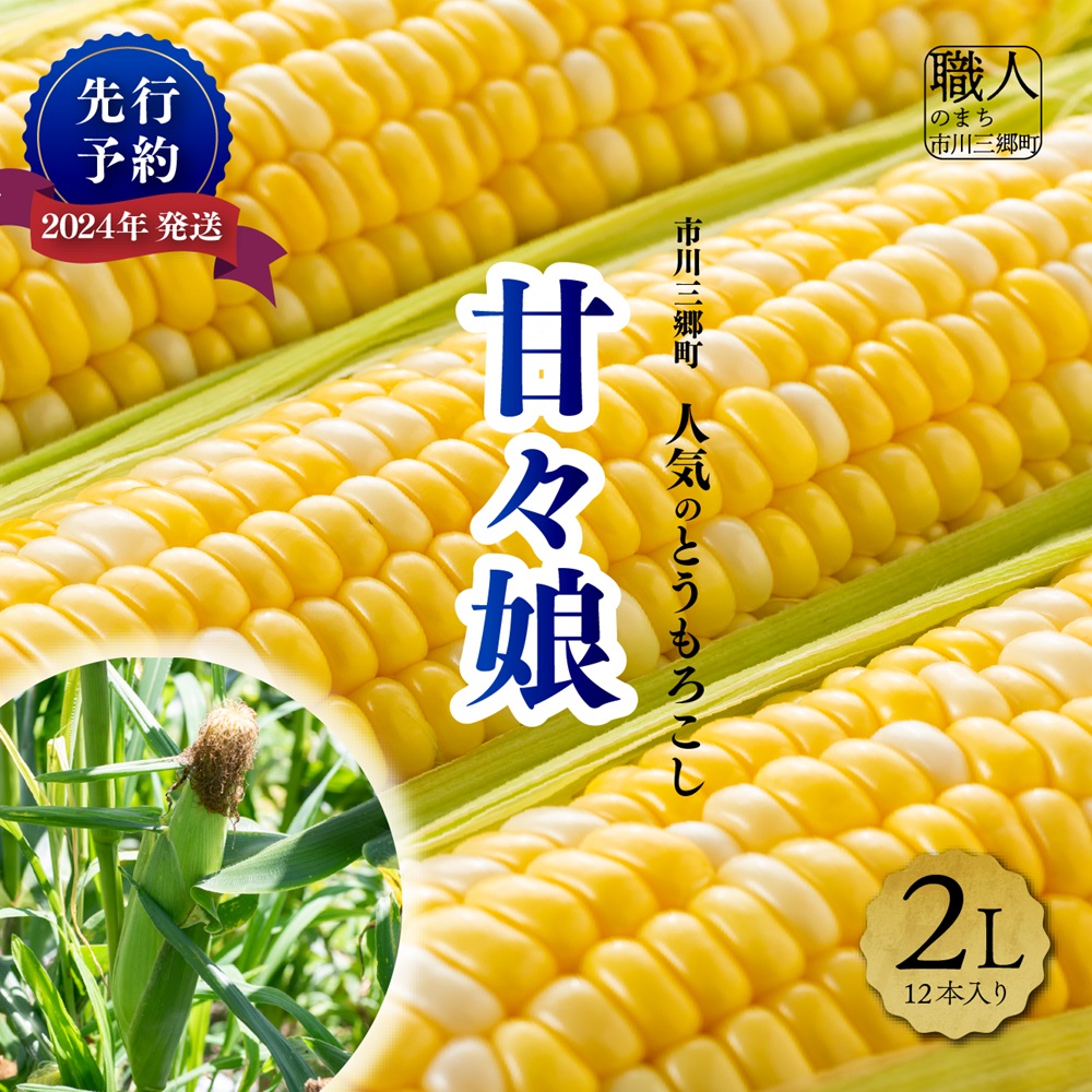 【先行予約】甘々娘　２Lサイズ　12本入り　【2025年6月上旬から発送】　渡邉農園[5839-1997]