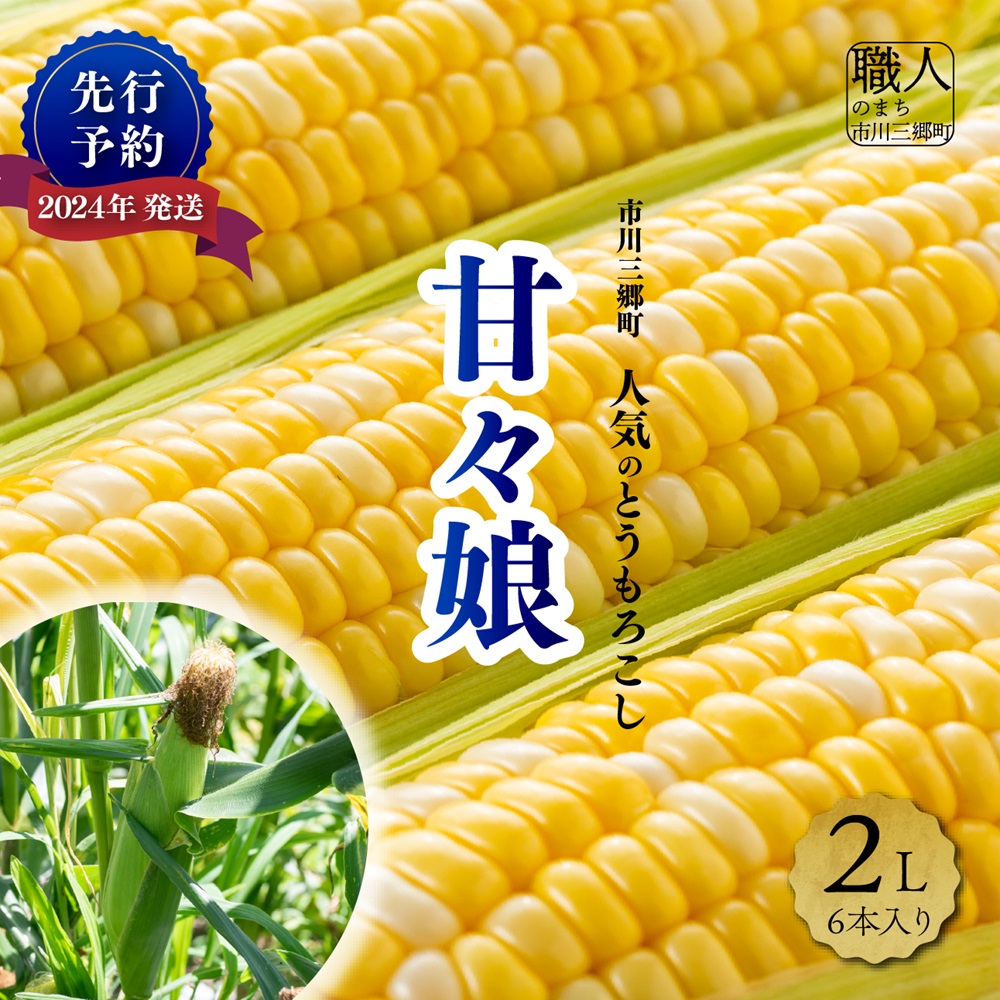 【先行予約】甘々娘　とうもろこし　２Lサイズ　6本入り　【2025年6月上旬から発送】　渡邉農園[5839-1996]