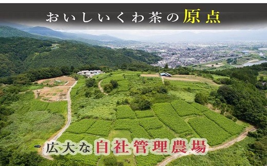 桑×抹茶・健康茶・飲むサラダ・青汁　60包×2箱 [5839-1340]