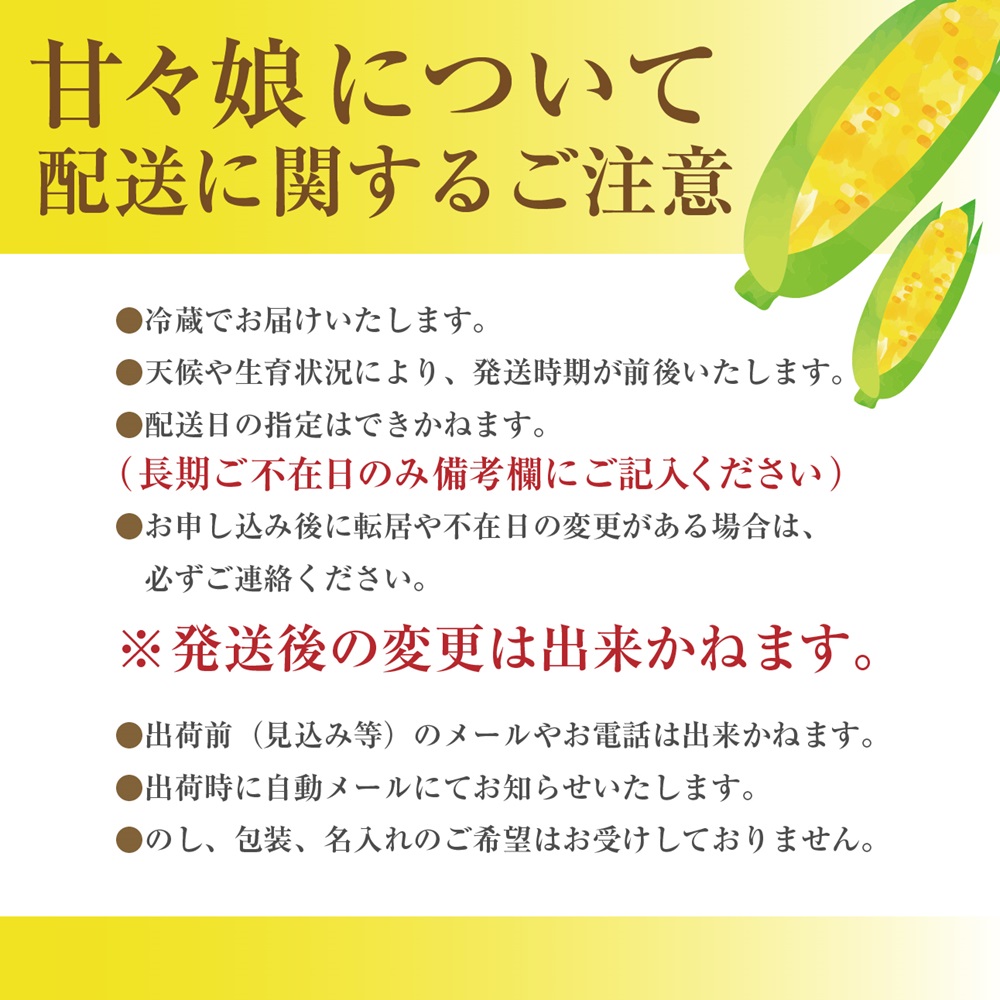 【 先行予約】2024年6月上旬から発送：絶品！市川三郷町産甘々娘（とうもろこし）12本入り 5kg箱じろう農園[5839-1336]