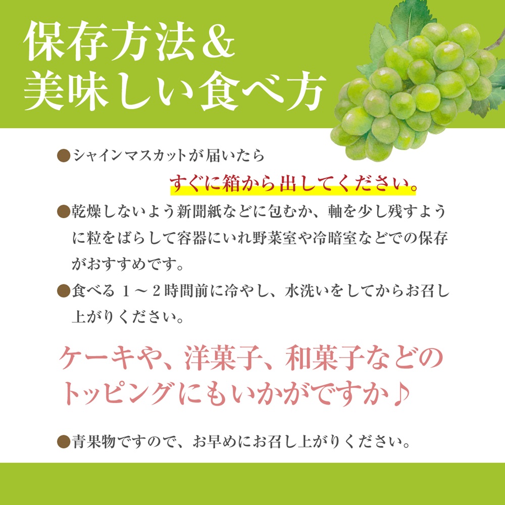 【先行予約】山梨県産シャインマスカット　2kg箱 【2025年9月中旬から発送】 ないとうぶどうファーム[5839-1222]